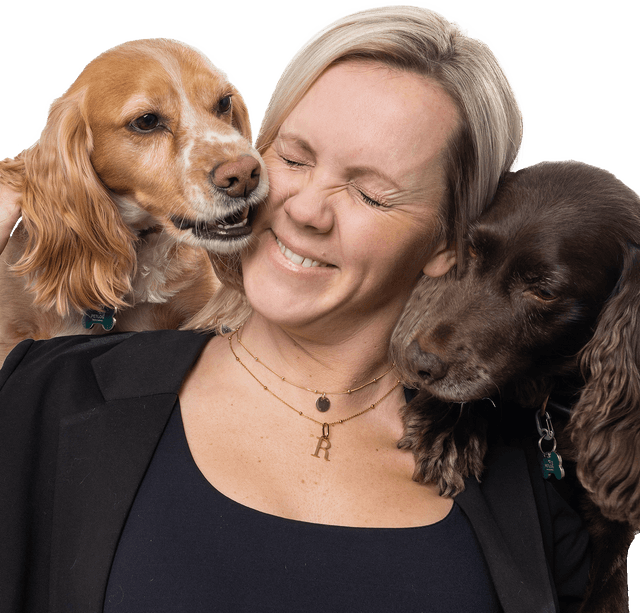 Build The Bandwagon Who We Are An Extension Of Your Team build-the-bandwagon-who-we-are-an-extension-of-your-team